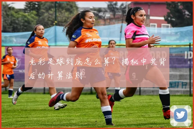 竞彩足球到底怎么算?揭秘中奖背后的计算法则