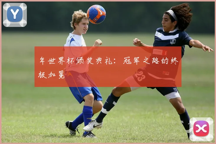 年世界杯颁奖典礼:冠军之路的终极加冕