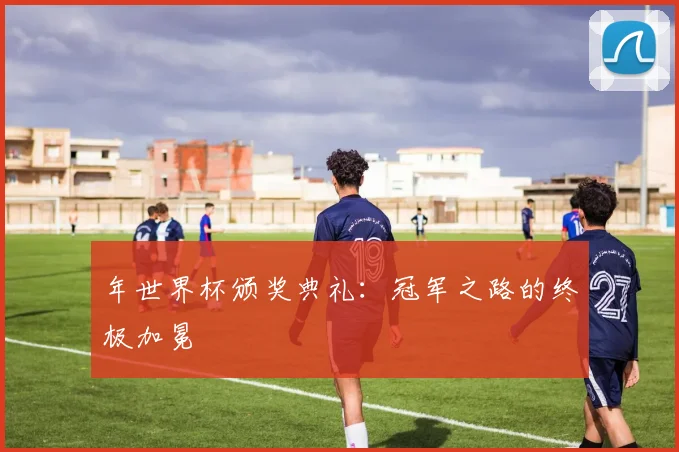 年世界杯颁奖典礼:冠军之路的终极加冕